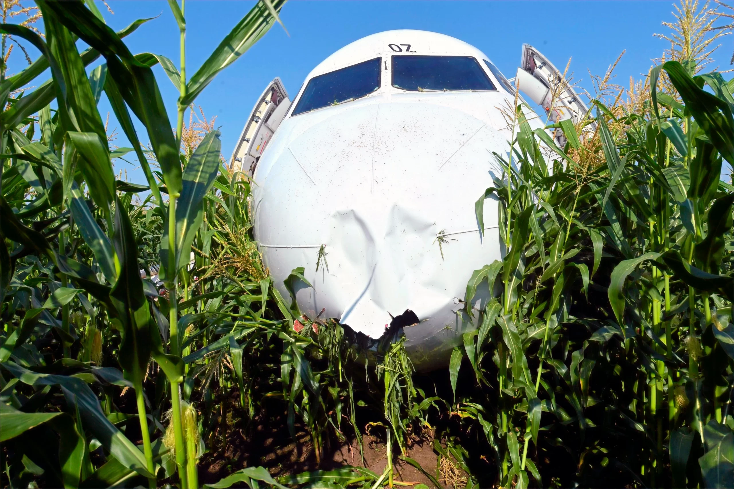 Российская кукуруза спасла жизнь пассажирам и экипажу
